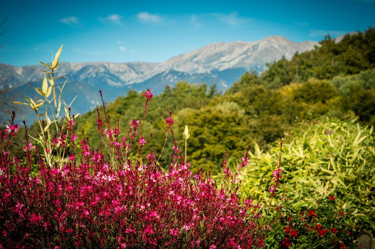Le Domaine De Falgos Golf & Spa Saint-Laurent-de-Cerdans エクステリア 写真